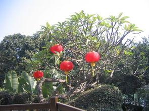 走马观花爆料视频大全下载,精彩瞬间一网打尽